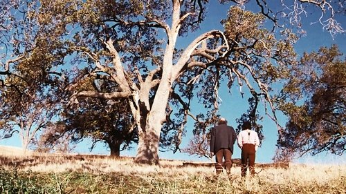 Background image for Going Home