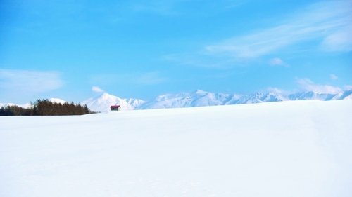 Background image for Hills of Biei in Winter