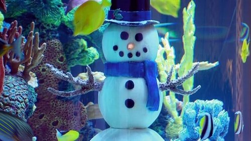 Background image for Tanked for the Holidays
