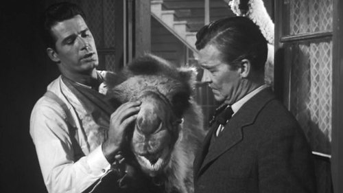 Background image for Relic of Fort Tejon