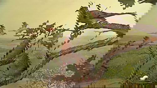 Background image for Changes in the Land (1870s – 1900)