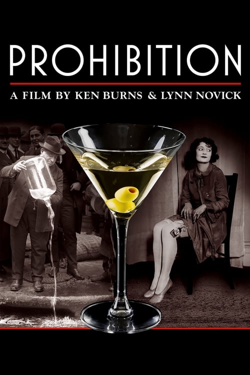 Show cover for Prohibition