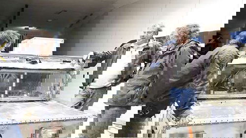 Background image for Episode 5