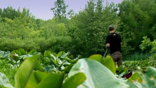 Swamp Stew: Michigan Bowfishing