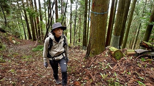 Background image for Episode 4