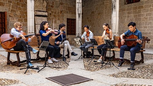 Background image for Now Hear This "Boccherini: Night Music"