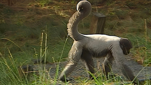 Background image for Episode 10