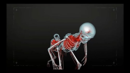 Background image for Wait, Don't Tell Me – You’re Dead!