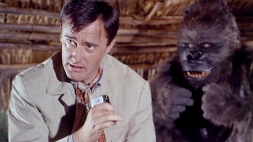 Background image for The My Friend, the Gorilla Affair