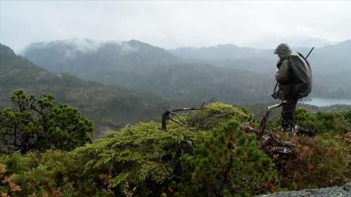 Into the Clouds: Sitka Blacktail Deer