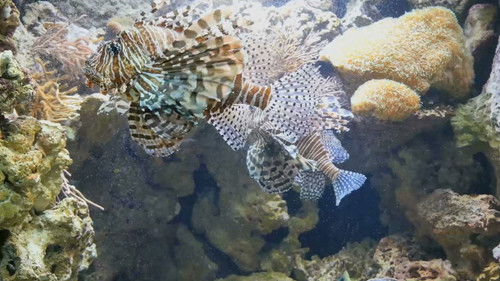 Background image for Episode 214