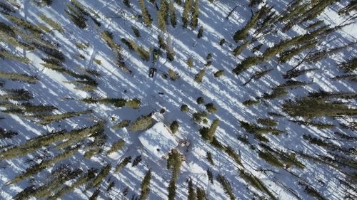 Background image for Into the Tundra