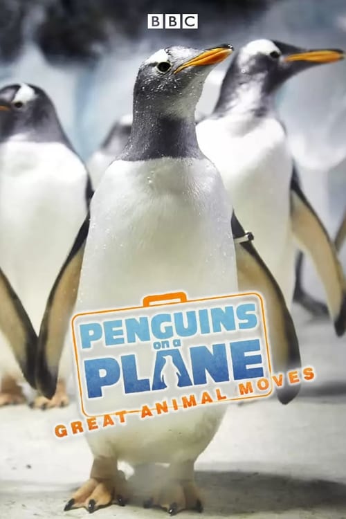 Show cover for Penguins on a Plane: Great Animal Moves