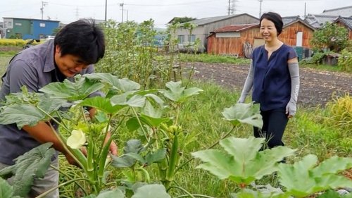 Background image for Food Flow and the Future of Farming: Agricultural Logistics Innovator - Kato Yuriko