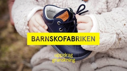Background image for Barnskofabriken