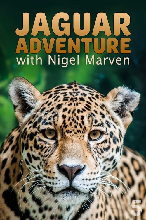 Show cover for Jaguar Adventure With Nigel Marven