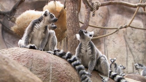 Background image for Episode 7