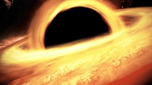 How Black Holes Made Us