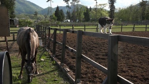 Background image for Iwate: Land of History and Horses