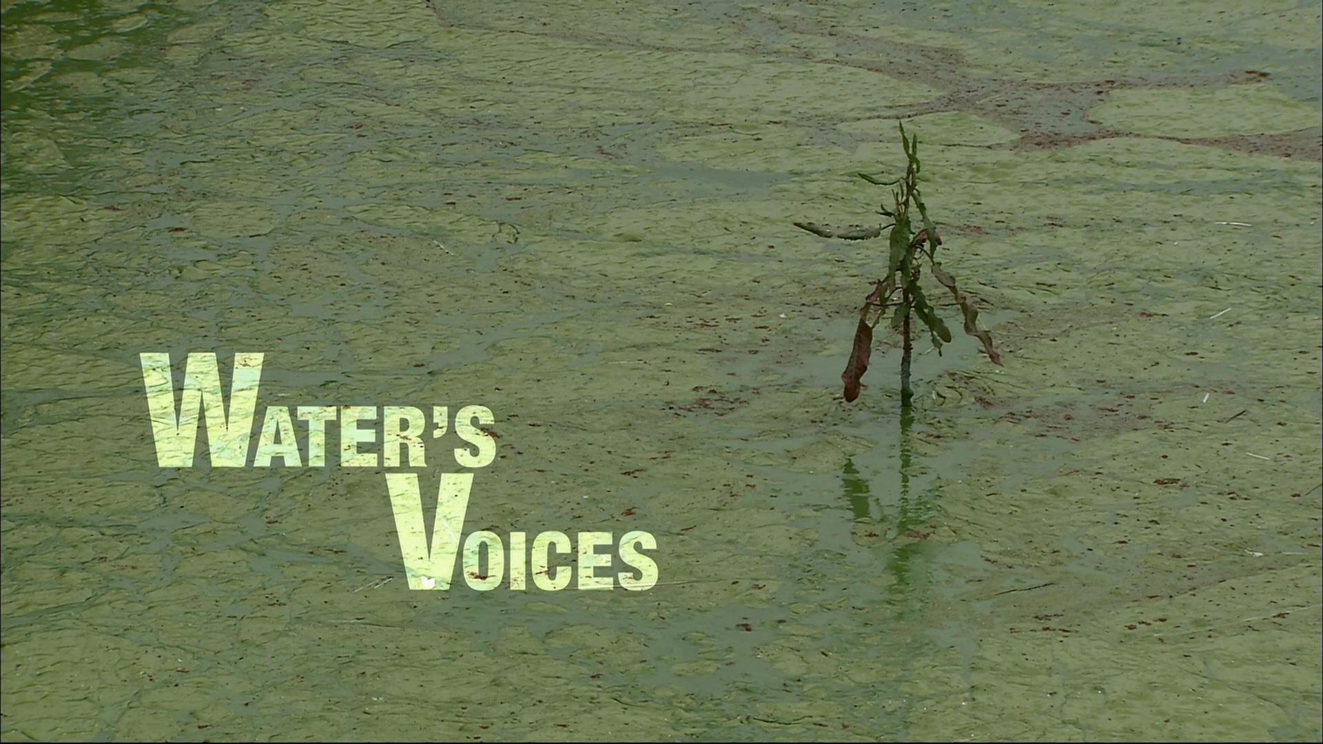 Water's Voices