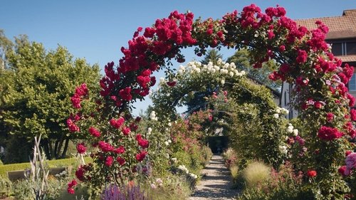Background image for The English garden