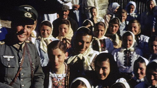 Background image for Summer