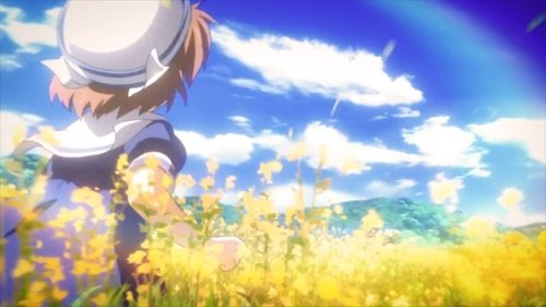 Background image for Small Palms