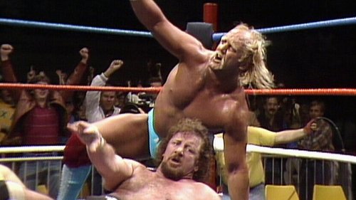 Background image for Saturday Night's Main Event - Jan 04, 1986