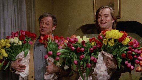 Background image for Be my tulip