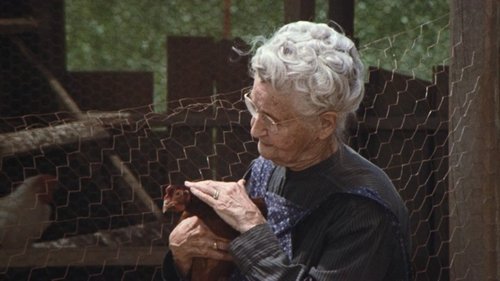 Background image for The Chicken Thief