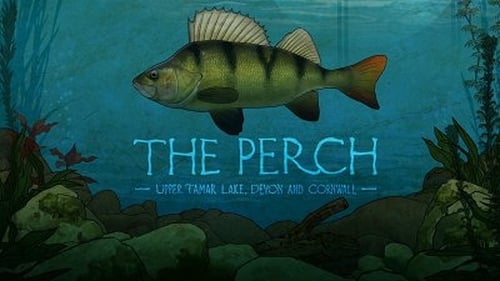 The Perch: Upper Tamar Lake, Devon and Cornwall