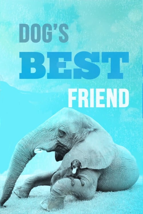 Show cover for Dog's Best Friend