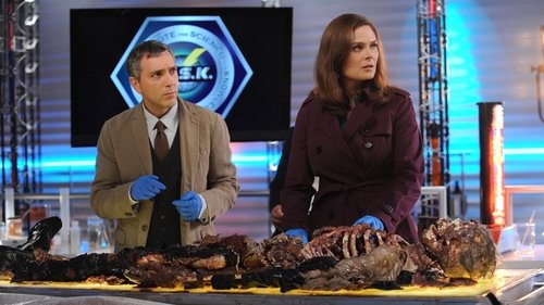 Background image for The Suit on the Set