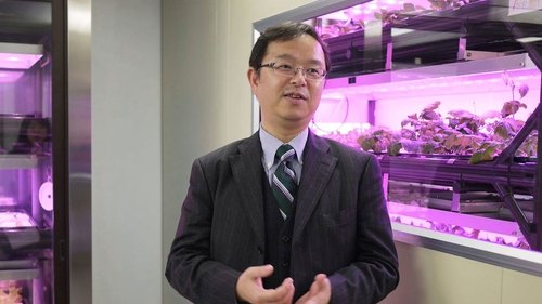 Background image for Spotlight on a Future Food Revolution: LED Grow Light Developer - Seiichi Okazaki