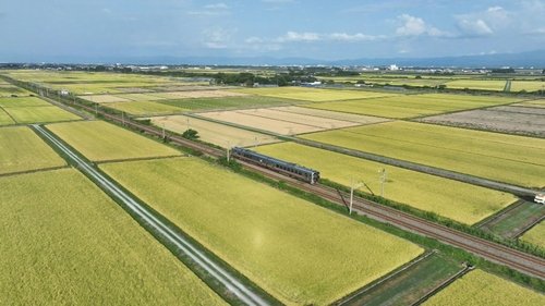 Background image for Rice and Sake from Niigata to Yamagata