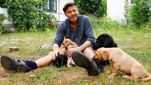 Background image for Episode 13