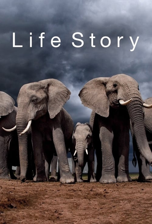 Show cover for Life Story