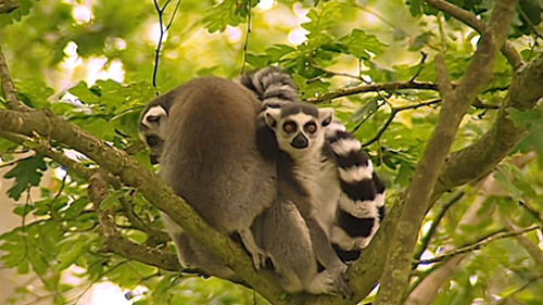 Background image for Episode 5