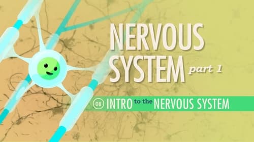 The Nervous System, Part 1