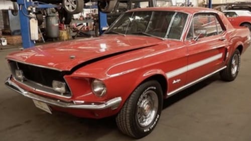 One Mad Mustang - Part 1