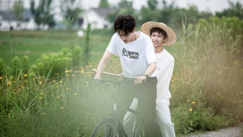 Just Charge Forward, the Bully Has Your Back