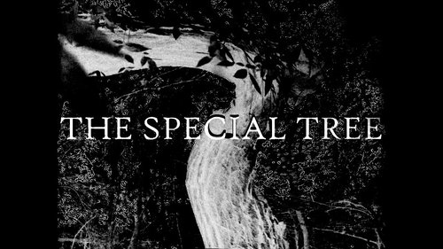 Background image for THE SPECIAL TREE