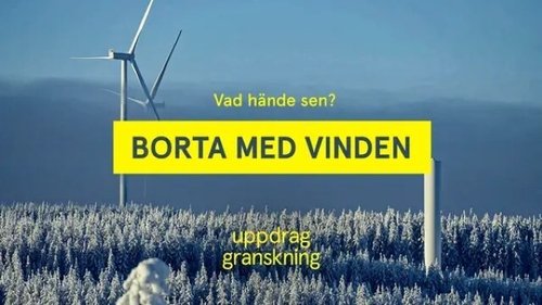 Background image for Den sista ålen