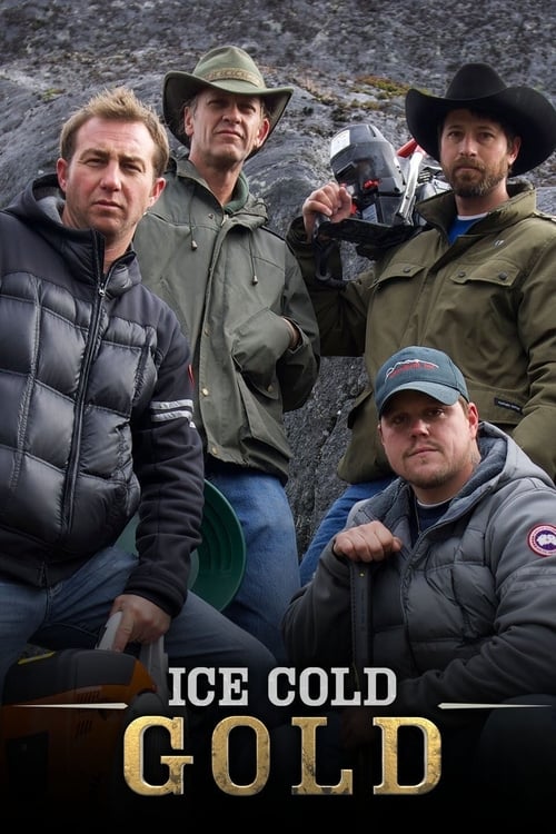 Show cover for Ice Cold Gold