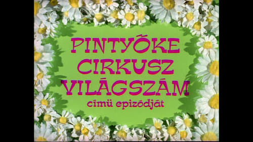 Pintyőke cirkusz világszám