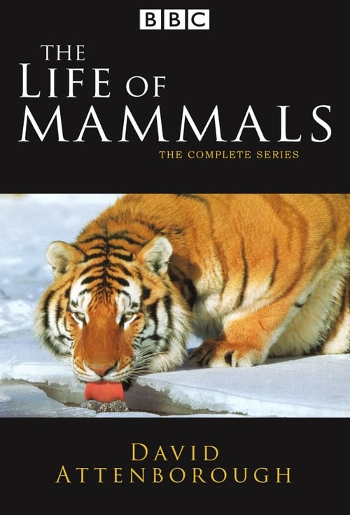 Show cover for The Life of Mammals