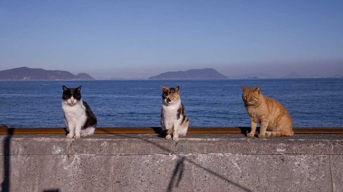 Background image for Okayama: A View of the Seto Inland Sea