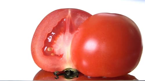 TOMATO