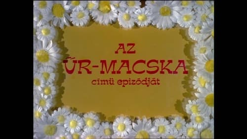 Az űr-macska