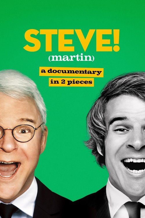 STEVE! (martin) a documentary in 2 pieces